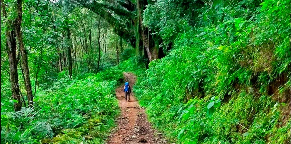 paquetes-4-trekking-corazon-yungas-3